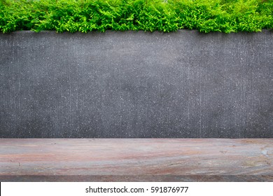 Concrete wall or marble wall and marble floor with ornamental plants or ivy or garden tree for background.