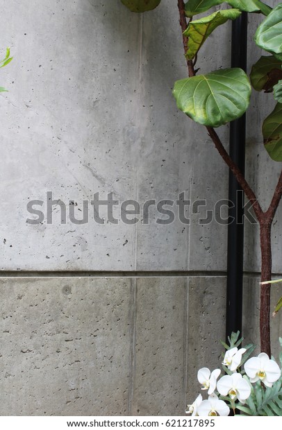 Concrete wall with plant and\
orchids