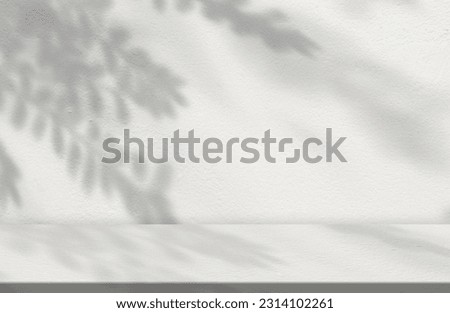Concrete Wall Texture with Leaves Shadow Overlay on White Background,Empty Grey Studio background with Sunbeam on floor,Backdrop Banner for Cosmetic Product Display,Mockup Beauty Presentation