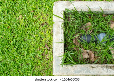 Concrete With Water Pipe Valve In Garden Lawn