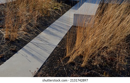 Concrete White Bench Block And Wave Shape In The Park On A Dark Cobbled Square, Clean Concrete Surface Gray Brown White Pedestrian And Rest Area At The Skate Park For Young People, Teenagers