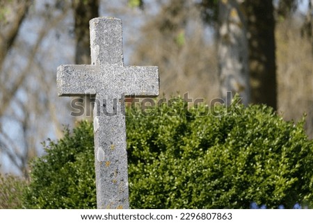 Concrete-made cross in a cemetary against green bush