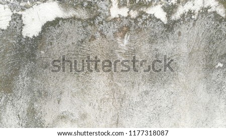 Concretewall texture with  lichen