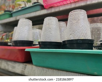 Condensation Inside The Plastic Glass Creates Water Bubble And Dew. Plastic Cup Is Used To Cover Young Plant To Maintain Moisture. Water Drops On Plastic Surface. 