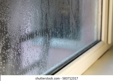  Condensation On The Window 