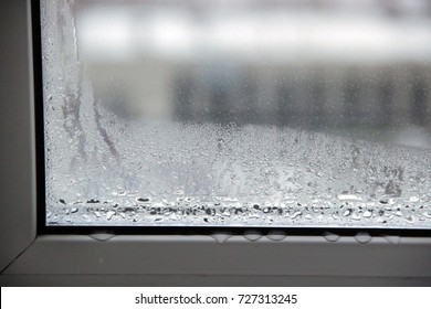Condensation On The Window