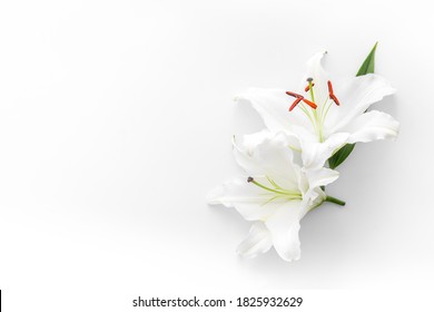 Condolence card with white flowers lily. Funeral symbol - Shutterstock ID 1825932629