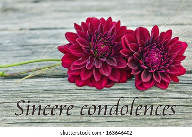 Condolence With Red Dahlia/sincere Condolences/english