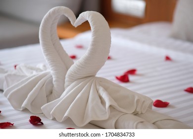 condom and rose flower on bed background and valentine day concept
