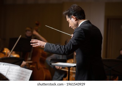 Conductor of symphony orchestra with performers in background in concert hall