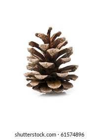 18,866 Small pine cones Images, Stock Photos & Vectors | Shutterstock