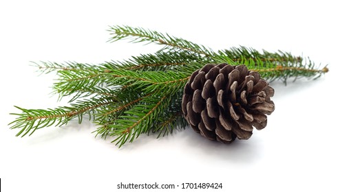 Cones and christmas tree isolated on a white background.