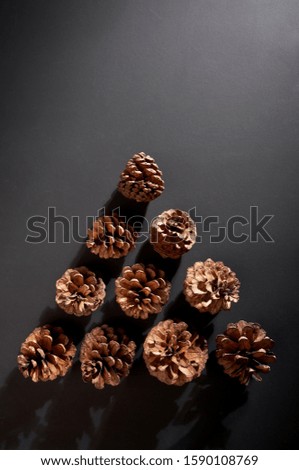 Cones of conifer folded in a triangle against a dark background.