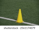 Cones on the soccer field for skill training, drills, speed, and more.