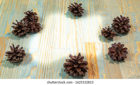 
cones on a tree structure