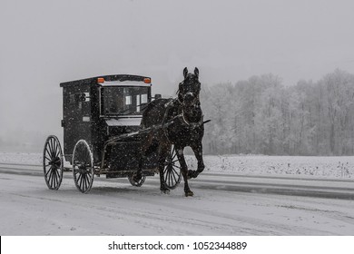 Conestogo, Ontario/ Canada - December 23, 2017:Amish With Horse And Buggy In Rural Ontario In Winter 