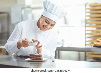 Confectioner Decorating Chocolate Cake In Pastry Shop.