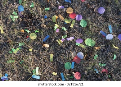 Confetti On A Forest Ground.