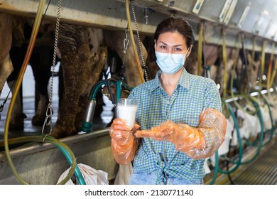 Confident Asian Female Milker In Protective Face Mask Posing With Glass Of Milk At The Cow Farm