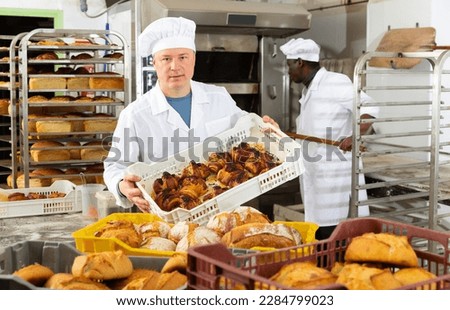 Similar – Image, Stock Photo A freshly baked loaf of bread with a beautiful crust lies on a cooling grid