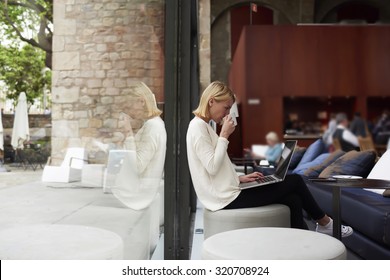 Confident Business Woman Looking At Laptop Computer Screen And Drink Cafe Female Freelancer At Distance Work Via Net-book Enjoying Her Cup Of Tea, Young Caucasian Student Learn On-line At Coffee Shop