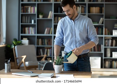 Confident Businessman Wearing Glasses Watering Plant On Work Desk, Serious Focused Man Holding Plastic Pot With Water, Standing Near Table In Modern Office Cabinet, New Startup Project