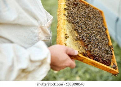 confident caucasian male beekeeper working to collect honey. organic beekeeping in rural area concept - Powered by Shutterstock