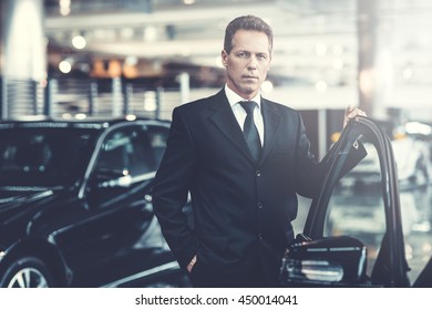 Confident choice. Confident grey hair man in formalwear holding hand on opened car door and looking at camera