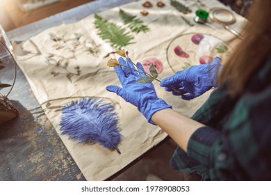 Confident Female Florist Is Working With Dryed Flowers In Cozy Flower Shop