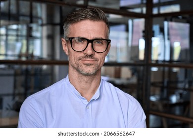 Confident handsome mature businessman professional financial advisor, executive leader, manager, male lawyer or man entrepreneur in glasses standing in office posing for headshot business portrait.