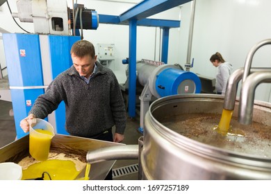 Confident male worker controlling quality of olive oil of traditional cold pressing on artisanal olive oil factory - Powered by Shutterstock