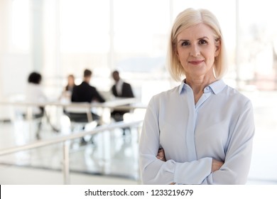 Confident Mature Businesswoman Looking At Camera, Middle Aged Company Ceo Director, Experienced Senior Female Professional, Old Lady Business Coach Team Leader Posing In Office, Headshot Portrait