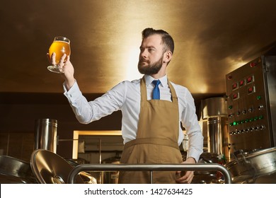 Confident specialist in brown apron holding and looking at beer glass. Brewery expert controlling quality of beer. Adult bearded man standing near equipment. - Powered by Shutterstock