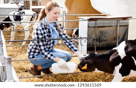 Similar – Little baby cow feeding from milk bottle.