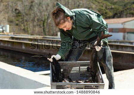 Confident young woman fish farmer holding sturgeon grown in own fish husbandry