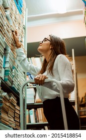 Confident Young Woman Looking Through The Materials In The Archive. Science, Academic Work, Knowledge, Intelligence, Research Concept.