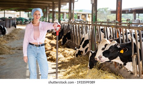 Confident young woman owner of dairy farm standing in stall on background with herd of cows