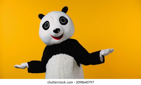 Confused Person In Panda Bear Costume Showing Shrug Gesture Isolated On Yellow