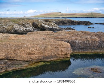 Conglomerate rock (fore) and inclined strata (behind) on the Ness of Burgi, south Shetland, UK - Hayes Sandstone Formation - Sedimentary Bedrock formed 383 to 393m years ago in the Devonian Period. - Shutterstock ID 1981499636