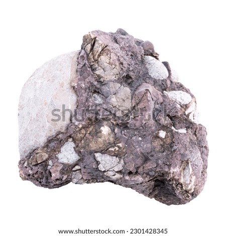 Conglomerate rock sample. Stone specimen. Sedimentary rock.