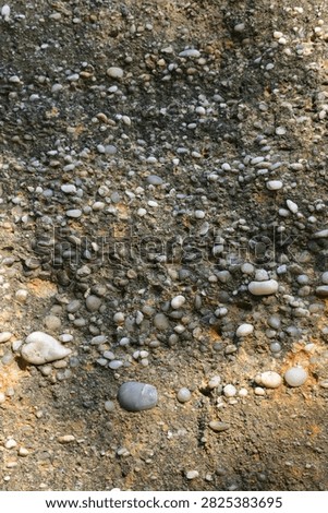 Conglomerate sandstone surface with embedded rounded pebbles, natural rock texture background, Gradina Zmeilor, Salaj County, Romania