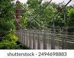 Congo grey parrots birds on suspension bridge, Mandai bird paradise sanctuary, Singapore, nature conservation ecotourism, tourist travel destination