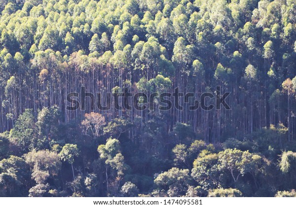 Congonhal Minas Gerais fonte: image.shutterstock.com