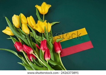 Congratulation for March 11, Lithuania Independence Day. Lithuanian tricolor and bouquets of tulips