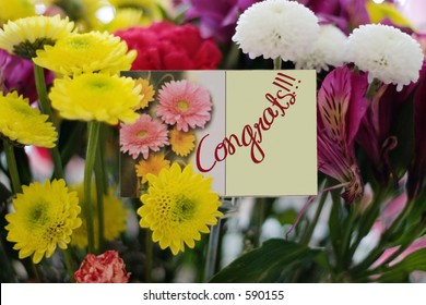 Congratulations Gift