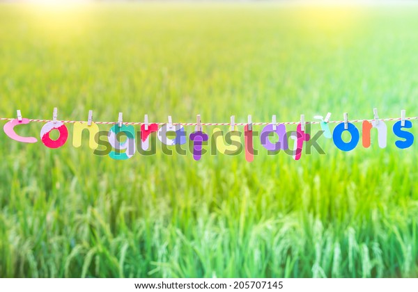 Many Colors On Stock Photo (Edit Now) 205707145