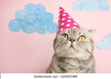Congratulations on your birthday, a cat in a festive cap with cake.Pink background
