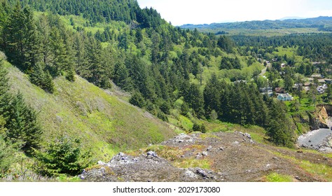 Conifer forests on coastal mountains along the Oregon coast