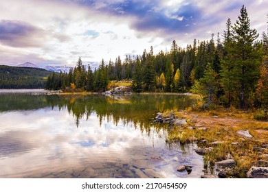 Coniferous forest around the lake. Majestic lake Patricia in Jasper National Park, Rocky Mountains of Canada. The concept of active, northern and photo tourism