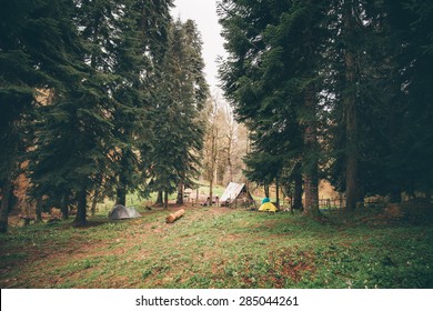 Coniferous Forest With Camping Landscape Moody Weather Colors